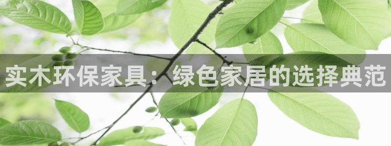 意昂5(KGAME)代理注册中心：实木环保家具：绿色家居的选