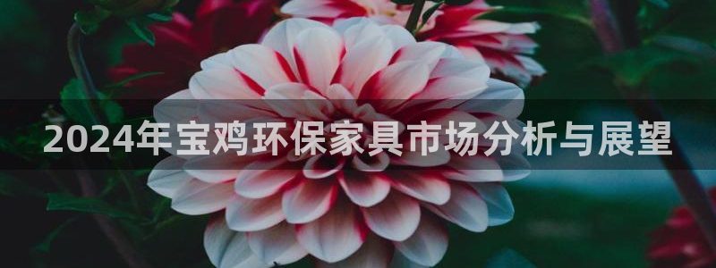 意昂5(KGAME)平台服务中心怎么样