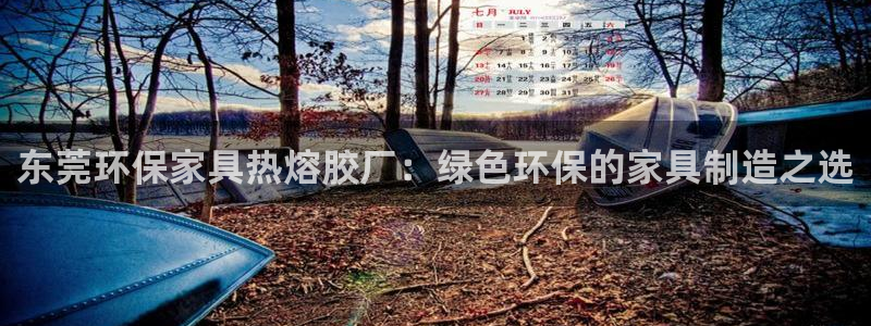意昂5(KGAME)官网主管：东莞环保家具热熔胶厂：绿色环保