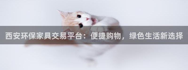 意昂5(KGAME)平台代理登录网址是什么：西安环保家具交易