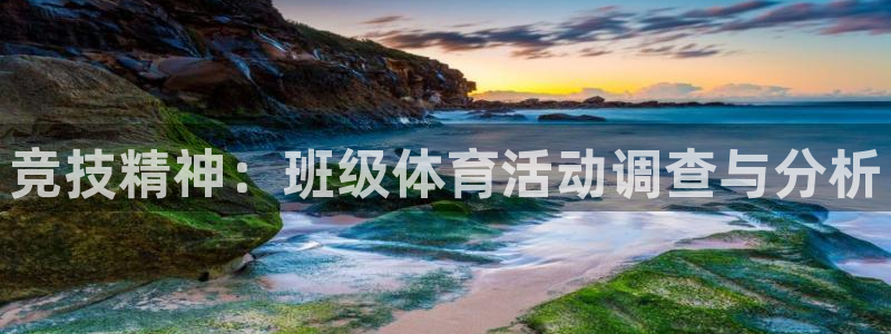 3377体育官方app下载