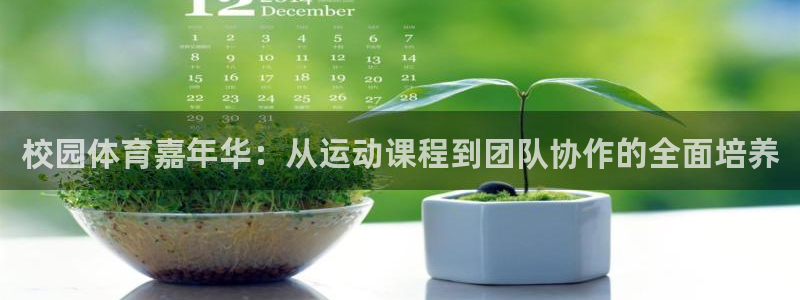 3377体育中国官方网站入口