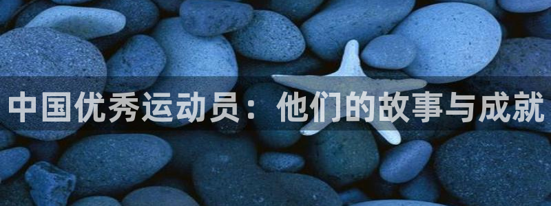 3377体育com