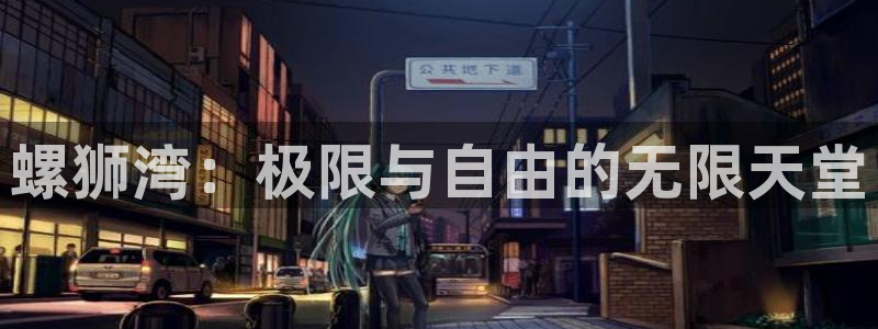 3377体育官网