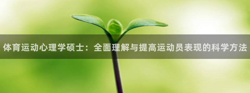 3377体育在线