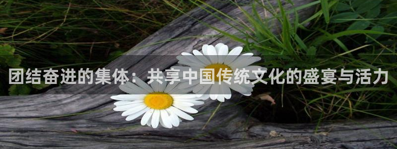 3377体育app官网下载地址