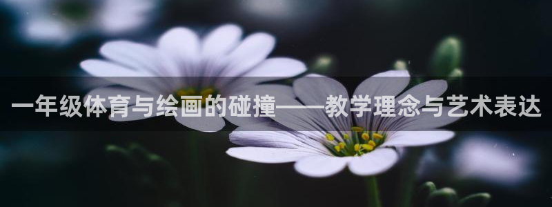 3377体育app登录入口