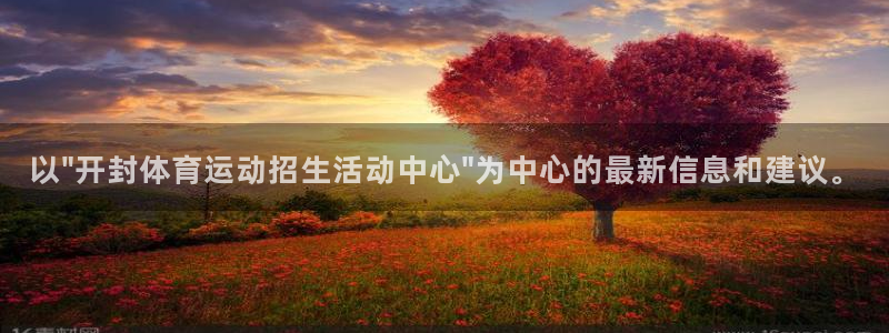 3377体育官网