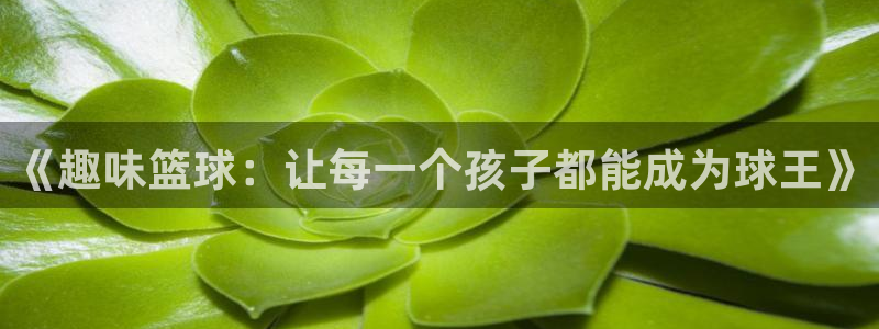 3377体育官方app下载